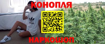 дживик Новодвинск