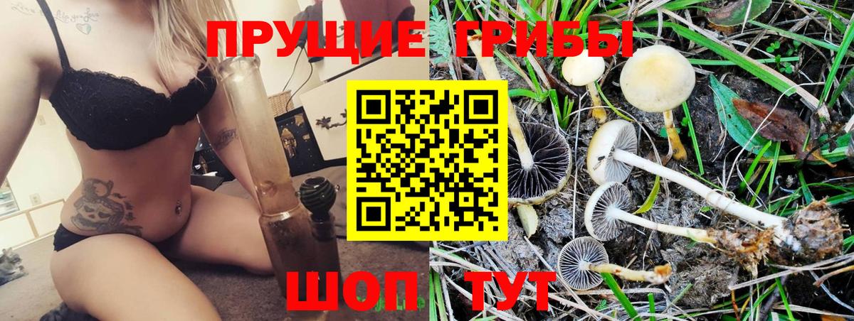 Галлюциногенные грибы прущие грибы  Вход с VPN  Галлюциногенные грибы Cubensis  Тихорецк 